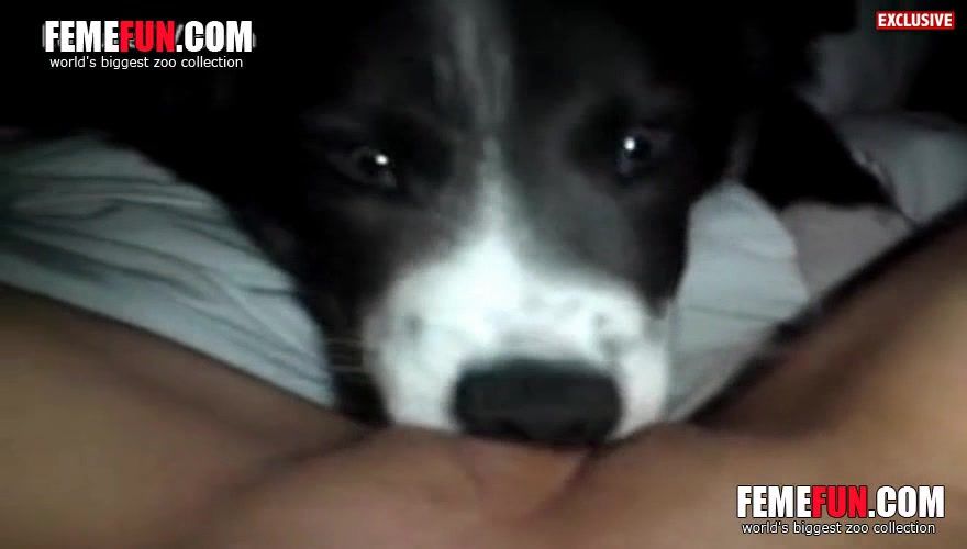 best of And sex videos having of dogs women