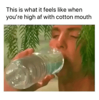 Don reccomend cotton mouth