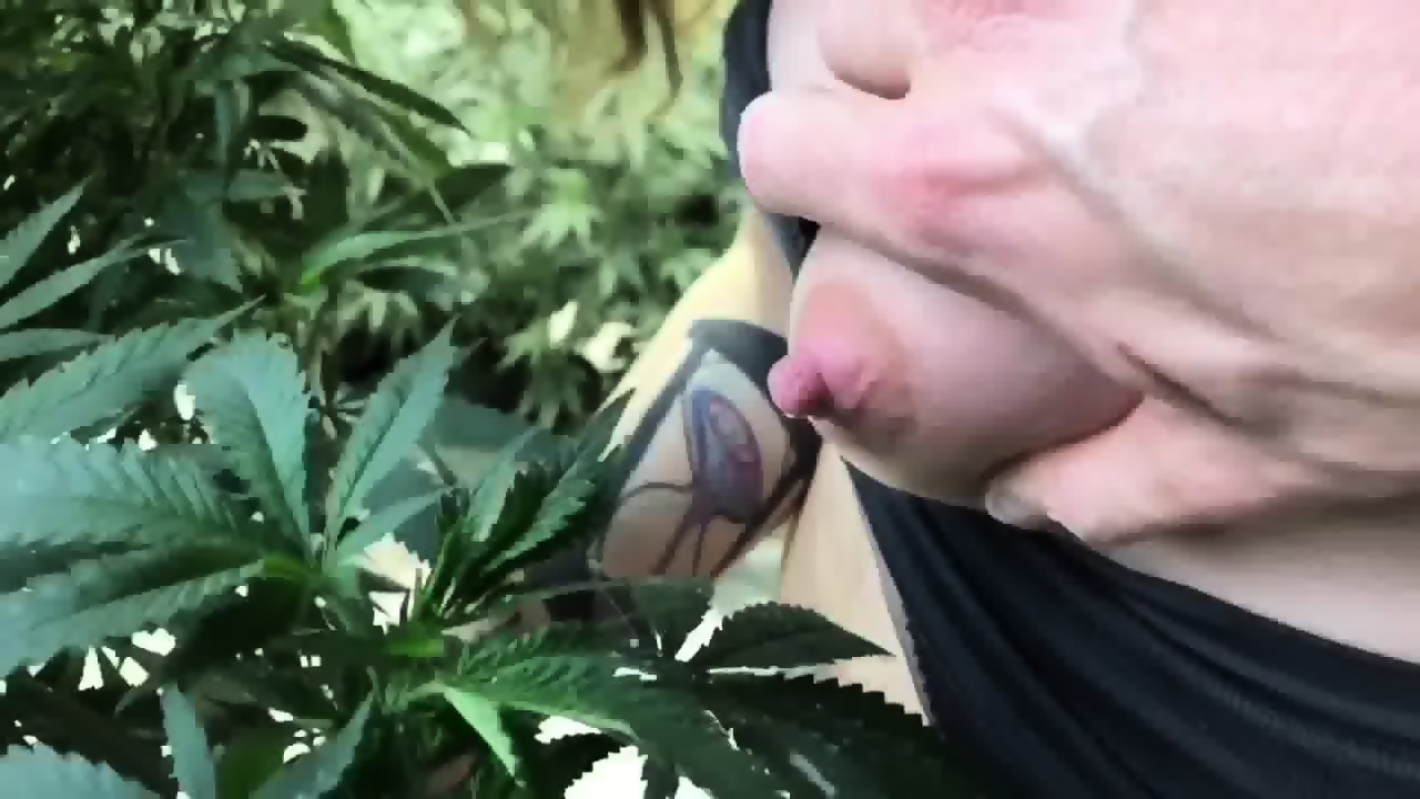 Weed squirt