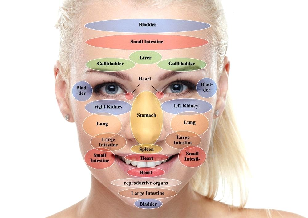 Hun recommendet map Facial reflexology