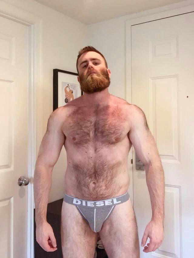 Budweiser reccomend Naked hairy gay ginger bear
