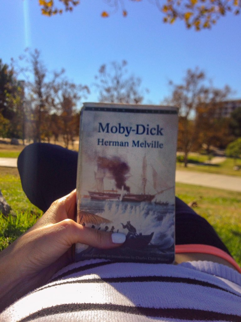 Moby dick seafood home page