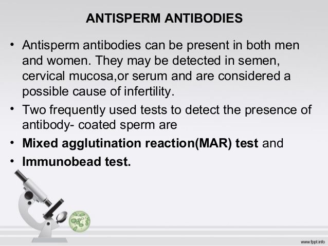 Rover reccomend Antibodies against sperm