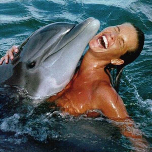 Do dolphins have sex