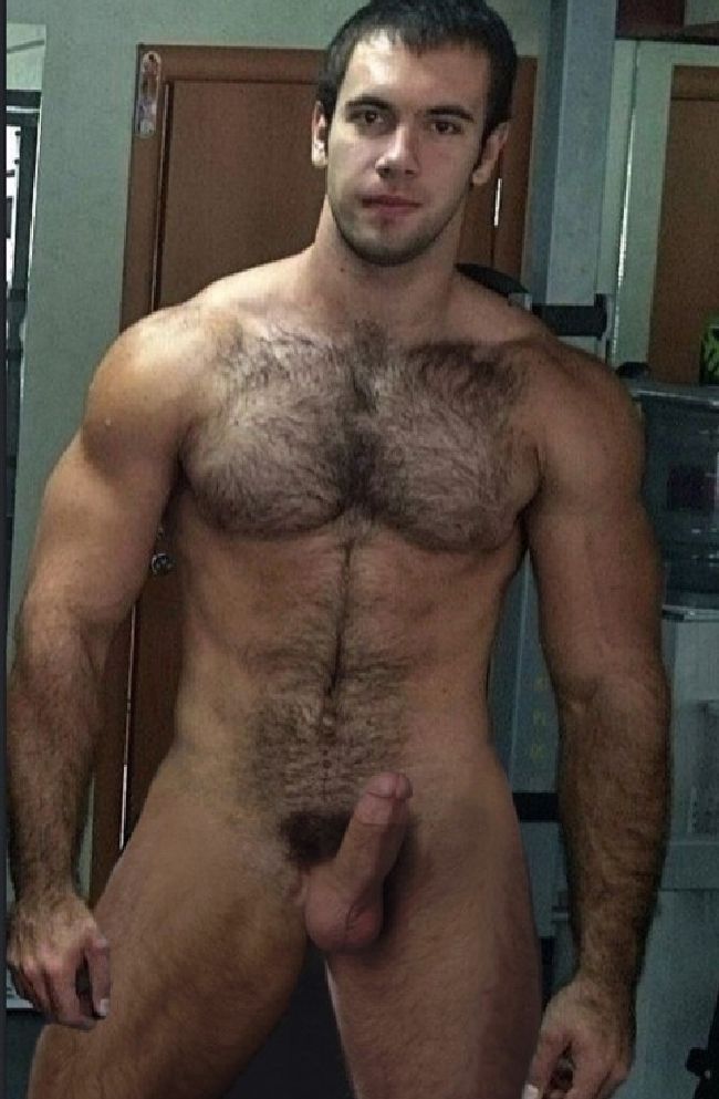 Gay hairy muscle men nude