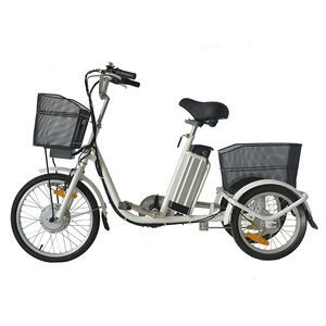 Leaf reccomend Diabled adult tricycles