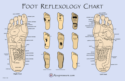 best of Hand Free reflexology sexual chart