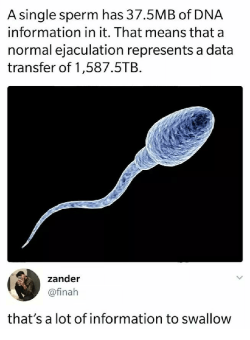 Information in sperm