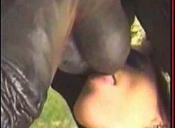 Box K. recommendet Mujeres con caballos porno