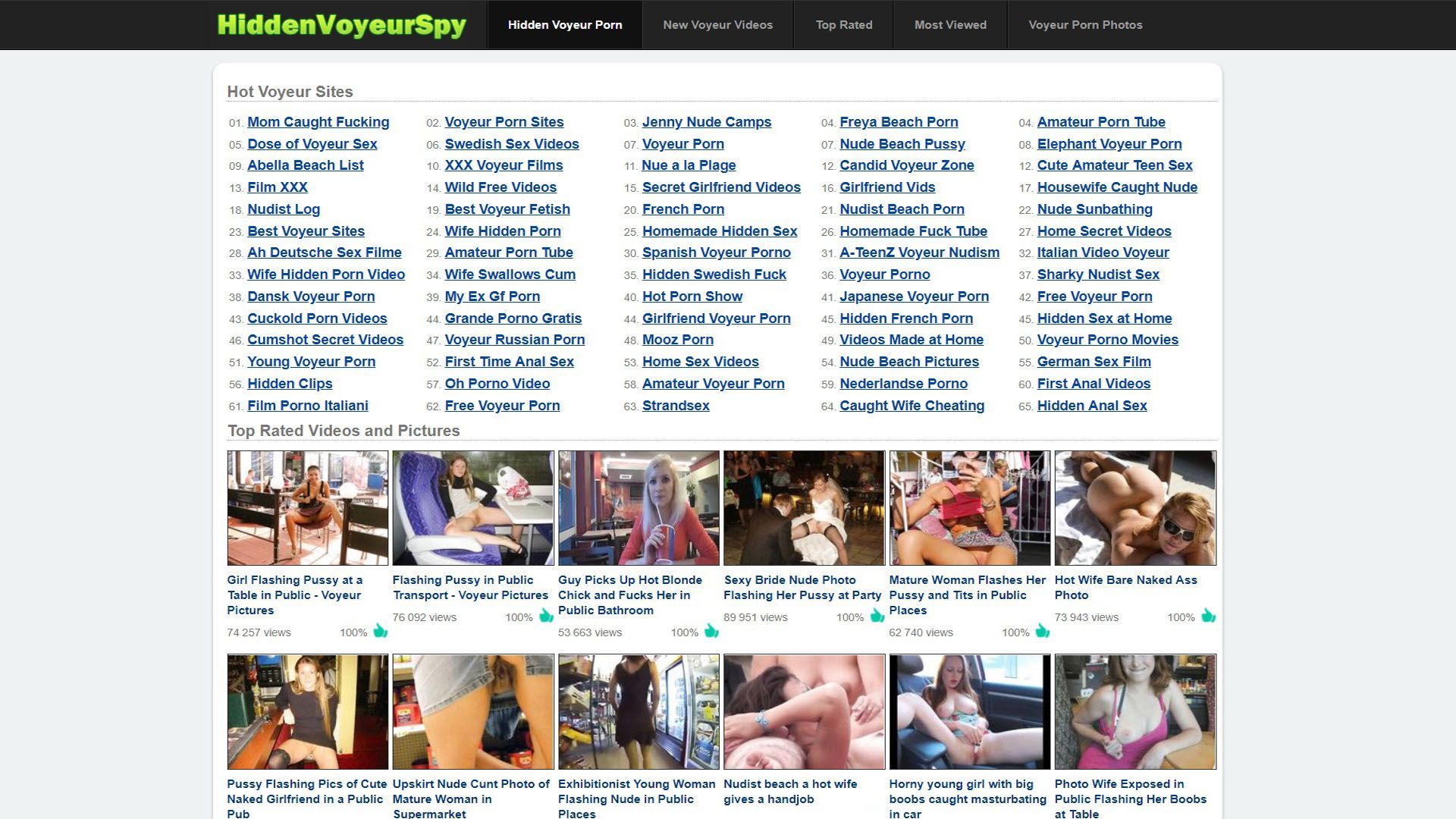 Search engine web voyeur pic