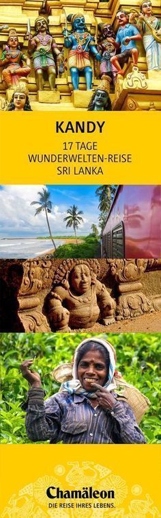 Lexus recommendet Anuradhapura in Sex Slut