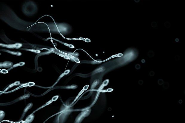 best of Count Testosterone sperm shots and