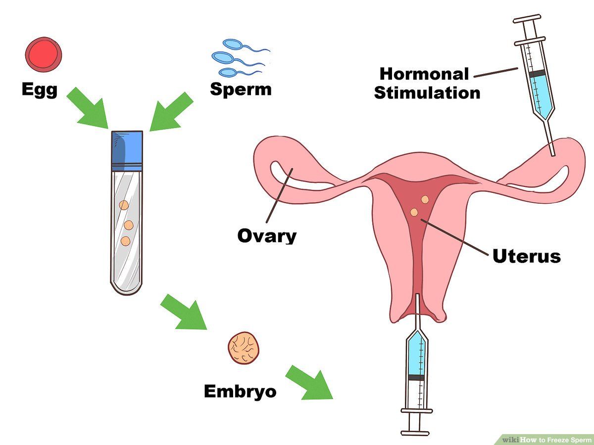 best of Wont attach to uterus Why sperm